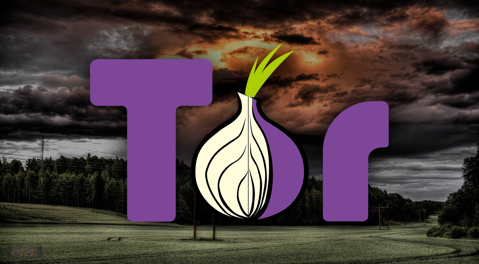 who develops the tor project