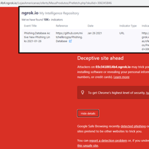 Hackers abusing the Ngrok platform phishing attacks Hackers abusing the Ngrok platform phishing attacks